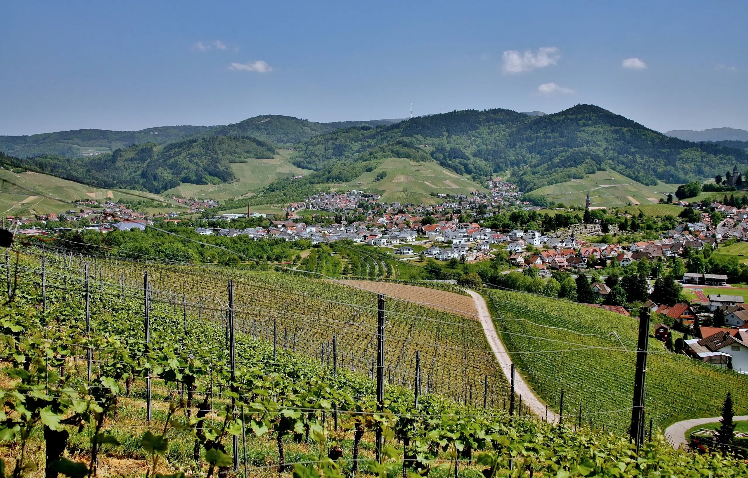 haus kaufen im rheingau